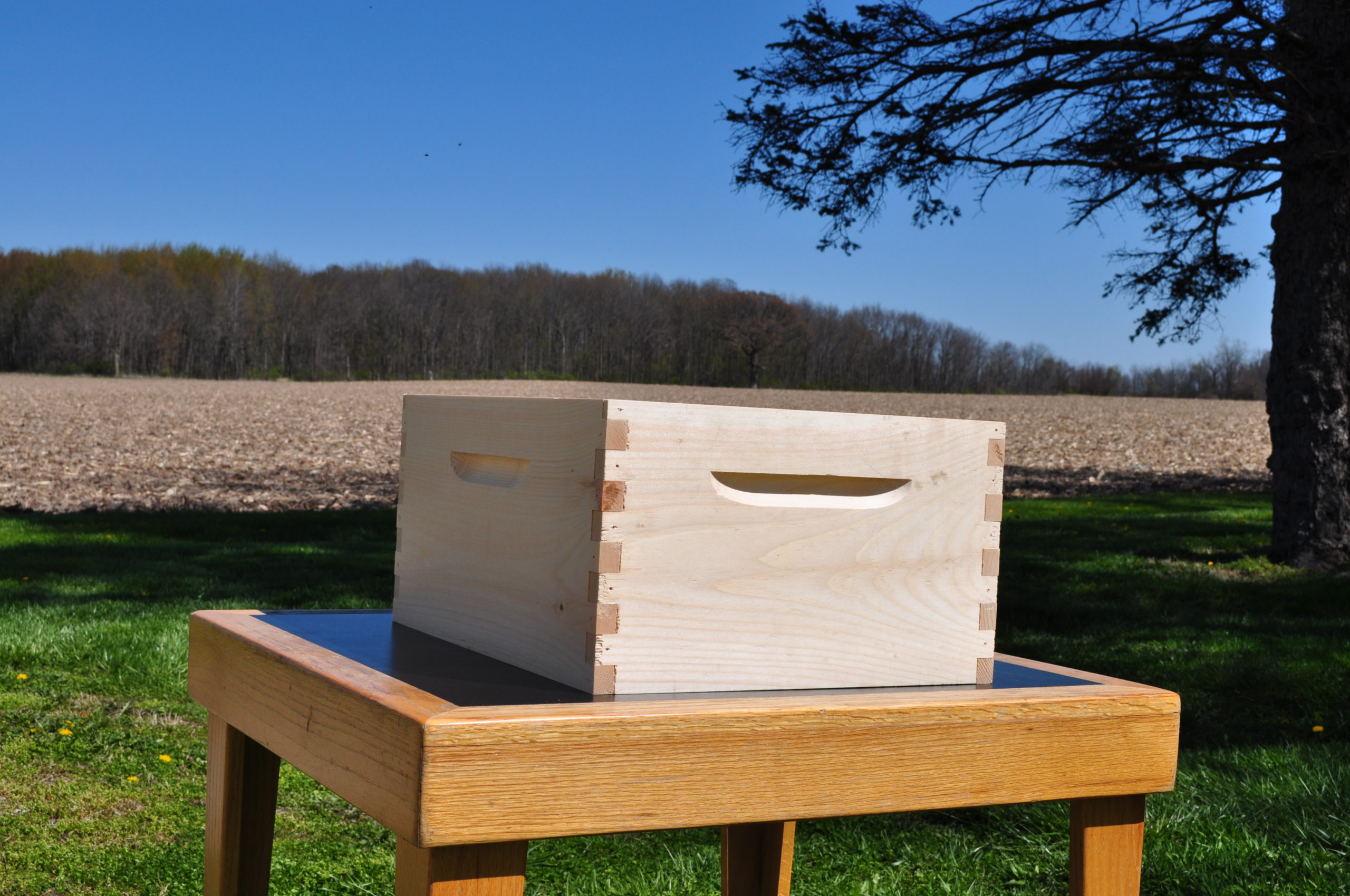 10 Frame Deep Box Mumbe S Orchard Bee Farm